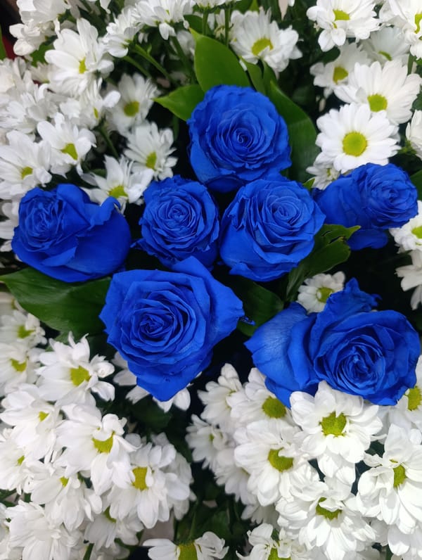 Close-up looks at rose bouquets in blue, red, and white