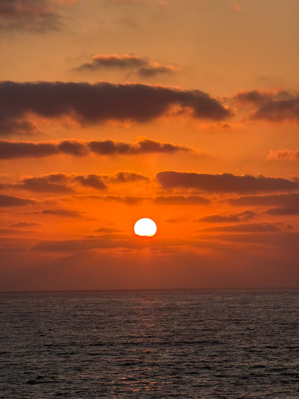 Golden hour at a Tel Aviv park — horses, sunsets, and good vibes