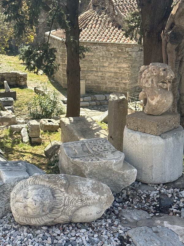 Tourist explores Bodrum Castle ruins and wildlife in Turkey