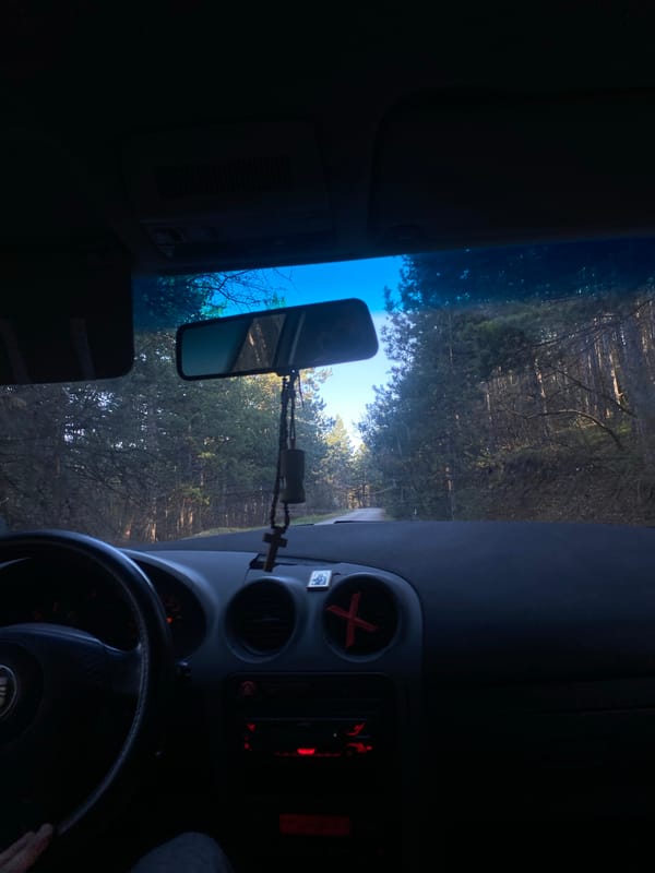 Driver travels wooded road near Blagoevgrad, Bulgaria