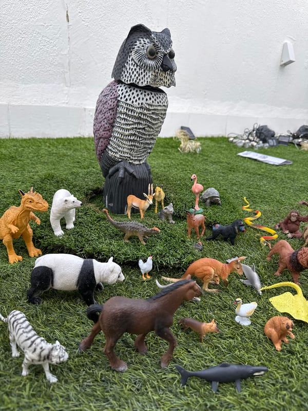 Toy animal collection and garden details, backyard in Vallada