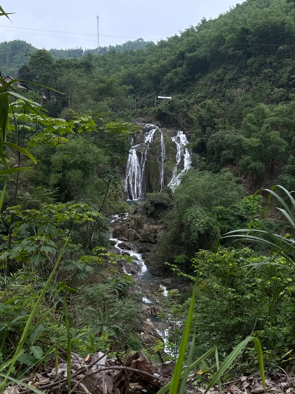Nature scenes documented in Vietnamese forest: waterfall and butterfly