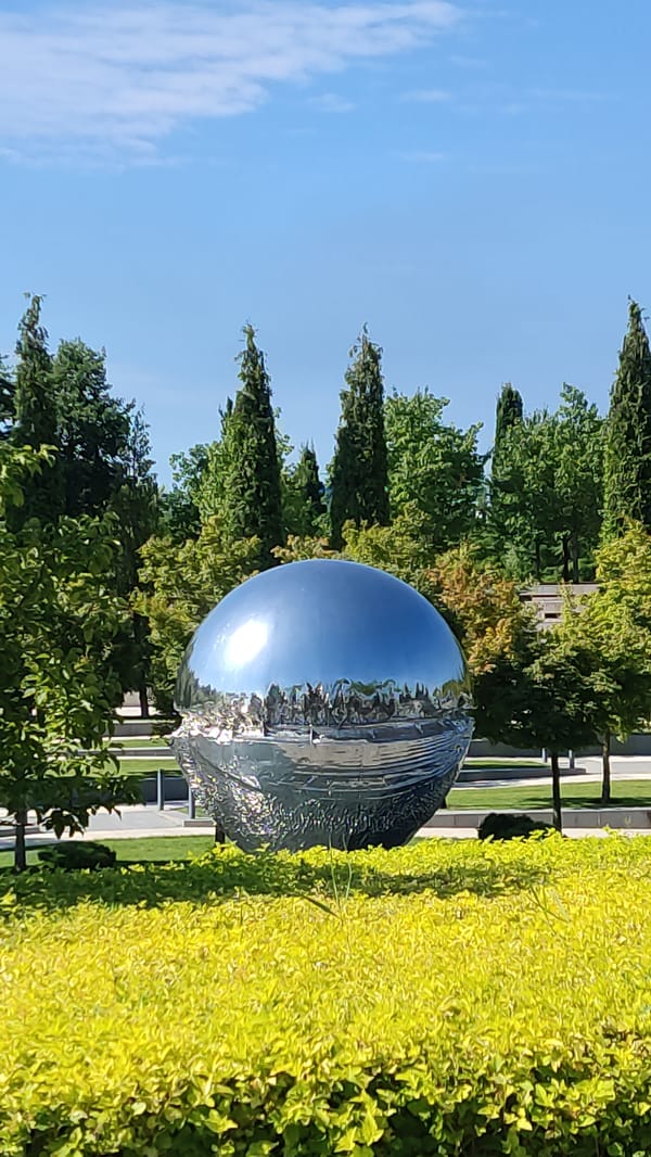 Krasnodar stadium park buzzes with cyclists and public art
