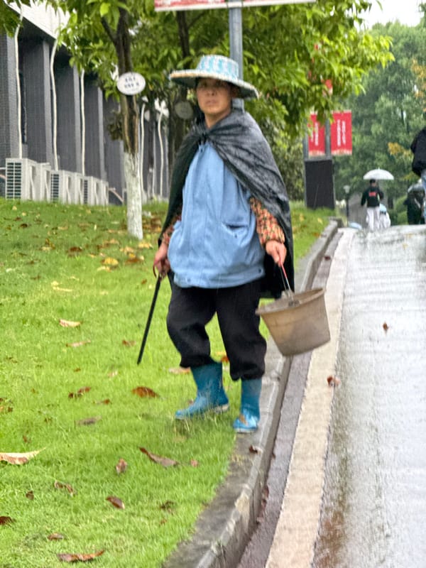 Street sweeper works under overcast skies in Jiangjin, China