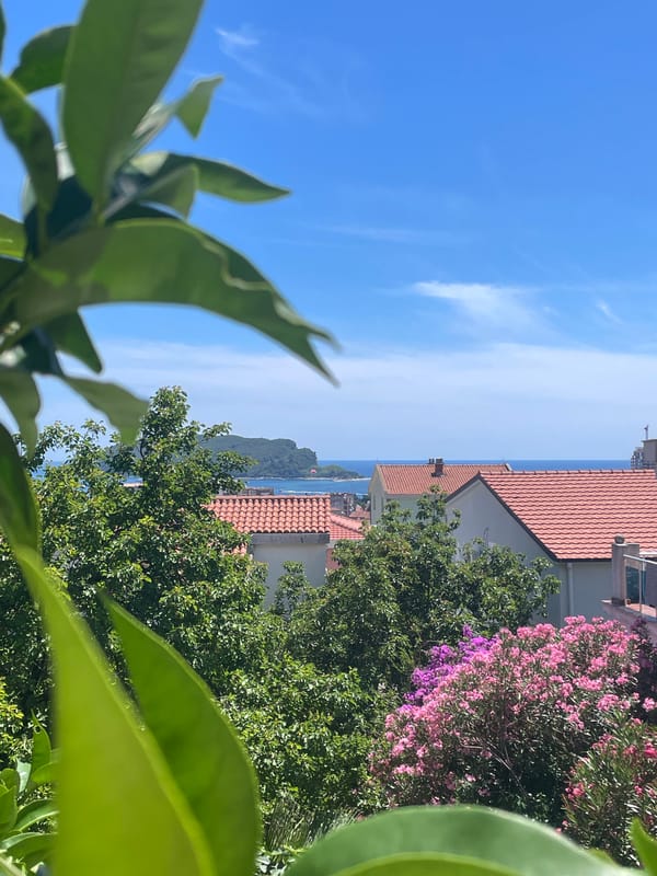 An afternoon moving around Budva, coastal views included