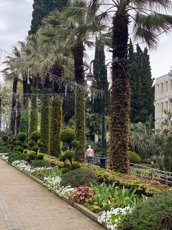Skateboarder sings through palm-lined Sochi park on overcast morning
