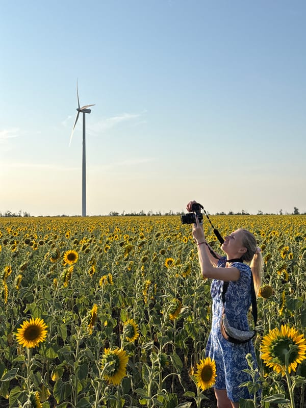 Sunflower fields and wind turbines in rural Ukraine