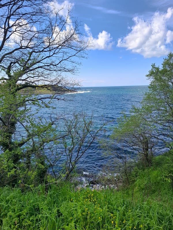 Black Sea coastal view documented near Tsarevo, Bulgaria