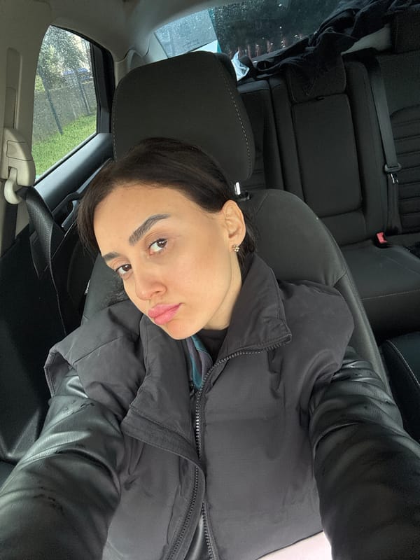 Woman observed in driver's seat in Bolokiani, Georgia