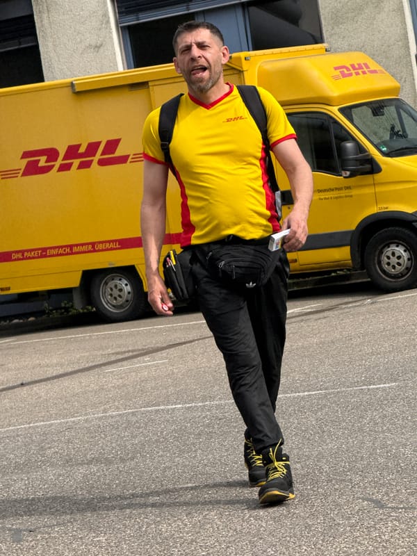 DHL driver spotted with van in Bietigheim-Bissingen delivery area