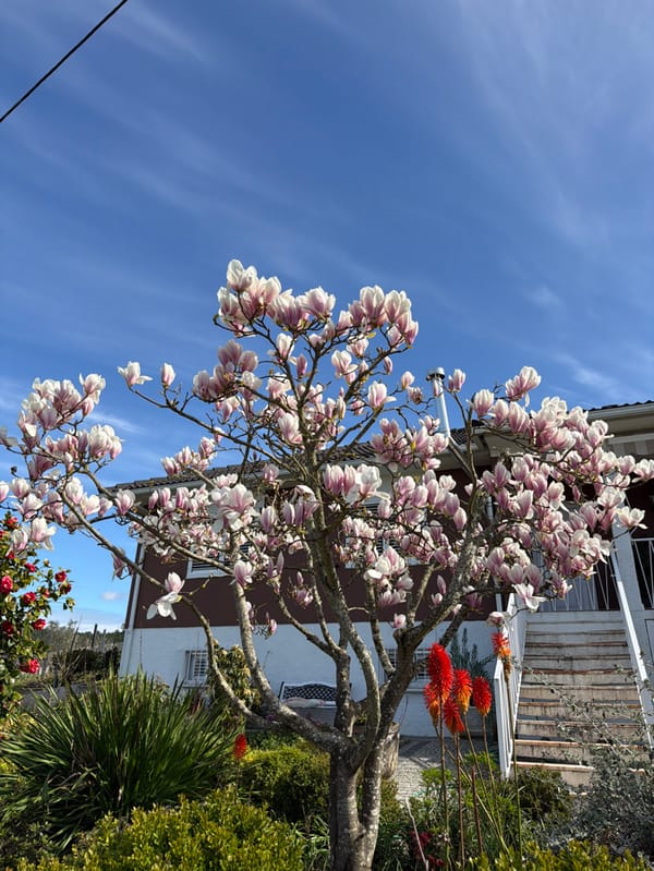 Father and infant share quiet domestic moments in Vila Real