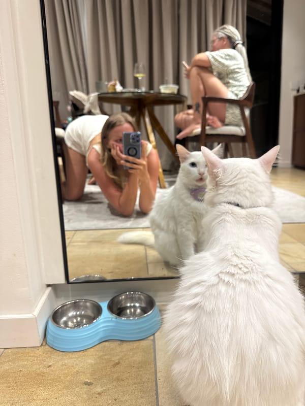 Pet owner documents cats in Ungasan home session