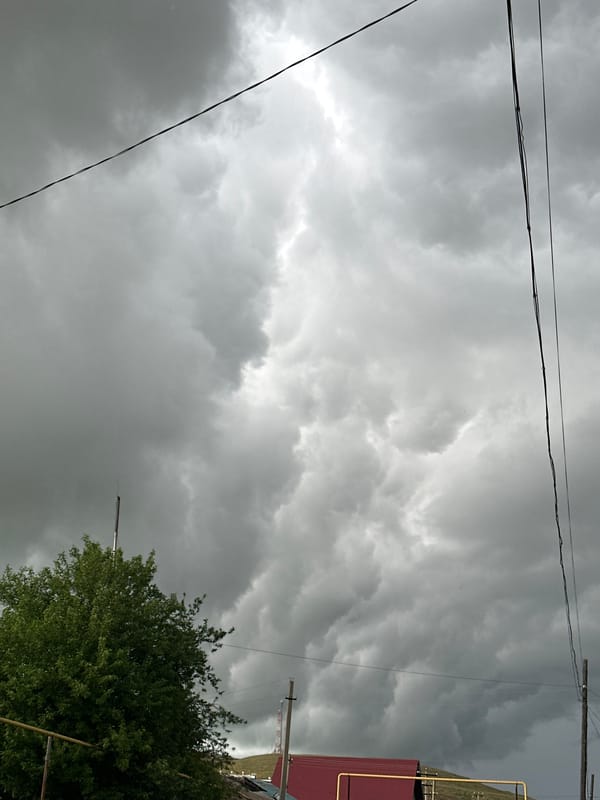 Storm clouds gather over grazing cattle in rural area
