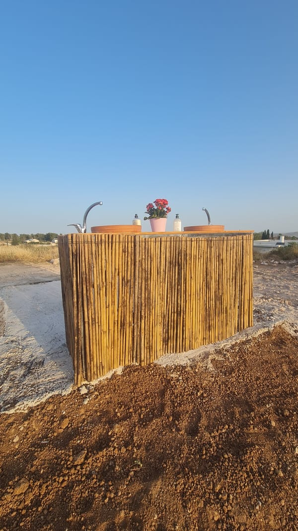 Outdoor bamboo vanity with flowering plants documented in Israel