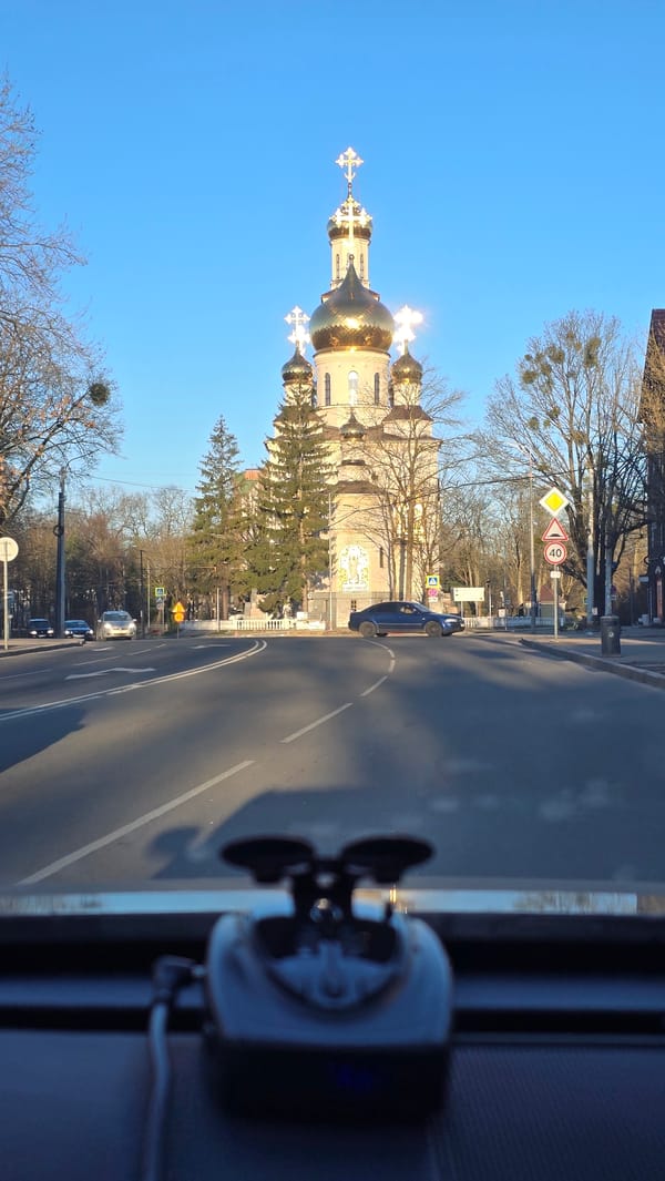 Kaliningrad cathedral and fitness center documented in morning