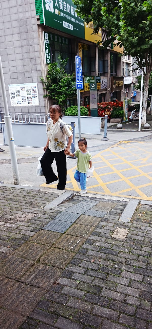 Elderly woman, young girl walk hand-in-hand in Jiulongpo District