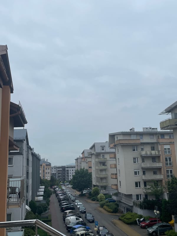 Toy dinosaurs, rubber ducks and pineapple arranged on balcony