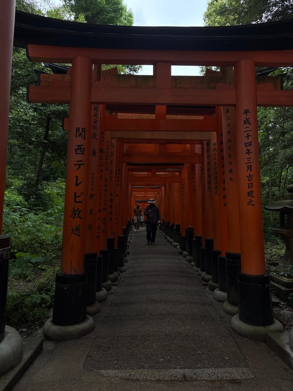 Visitor documents Fushimi Inari shrine's famous torii tunnel in Kyoto