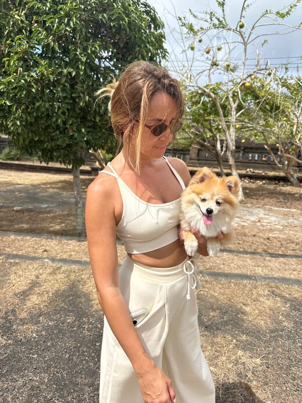 Fluffy Pomeranian steals the show in Kuta Selatan