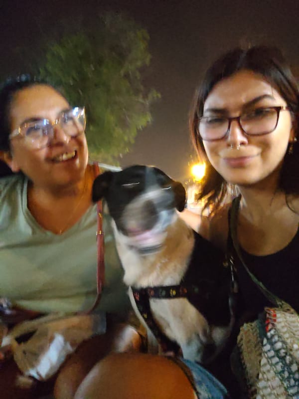 Late-night park gathering with dogs captured in Barranco