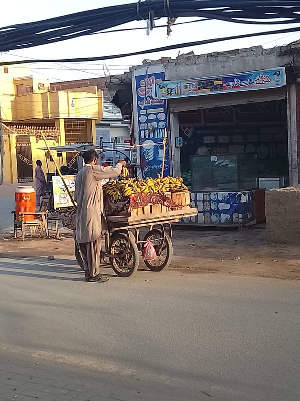 Daily street life documented in South Asian town