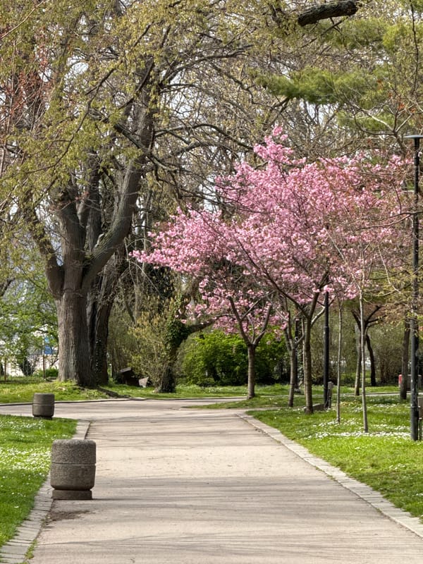 Morning life unfolds across Varna's parks and streets