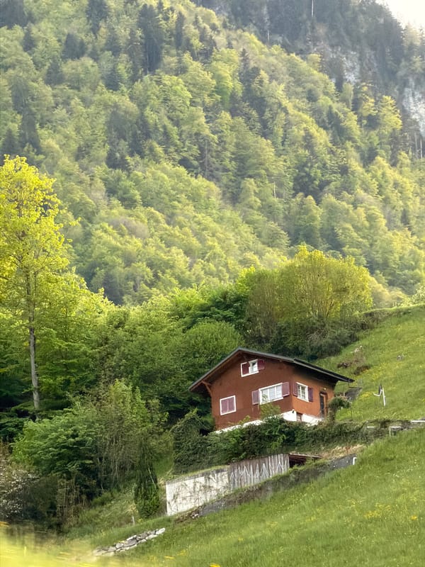 Tranquil Swiss countryside scene documented in Beckenried