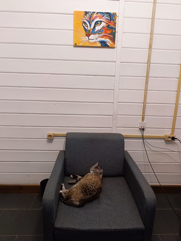 Cats and desk work share the same cozy paneled room