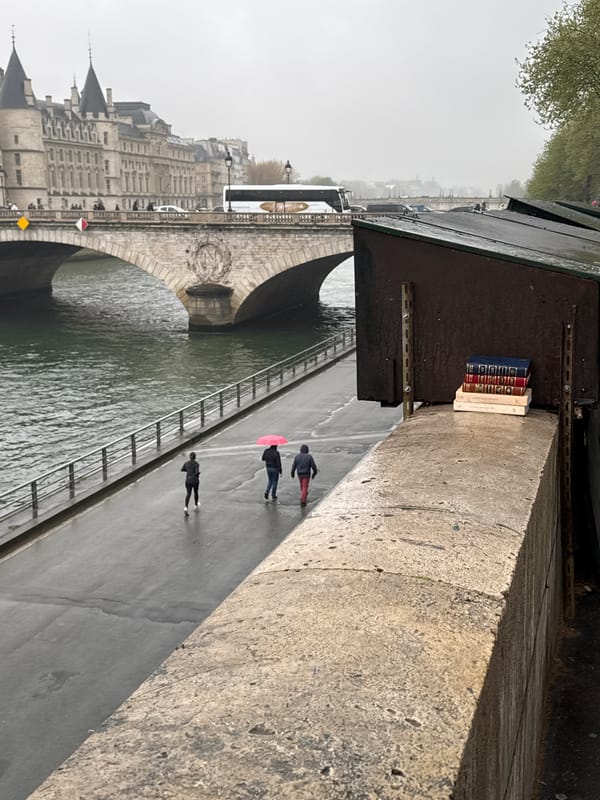 Paris landmarks documented during rainy afternoon along Seine River