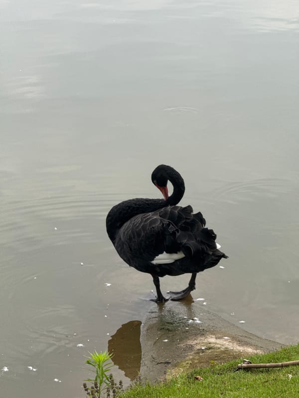 Everyday life at a Jiangjin park on a rainy morning