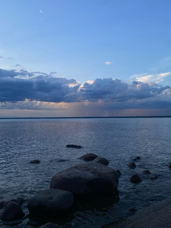 Relaxing by the Gulf of Finland on a cloudy Sestroretsk afternoon