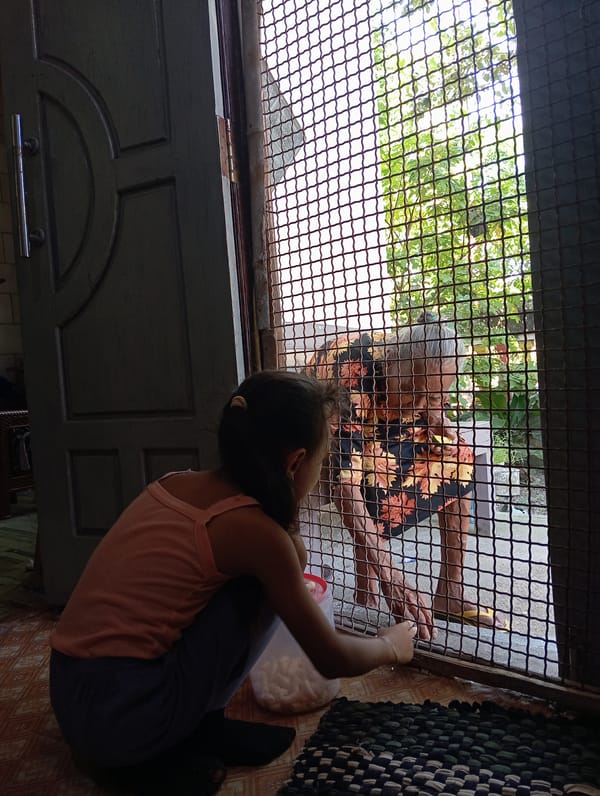 Family mealtime moments captured in Baron, Indonesia home