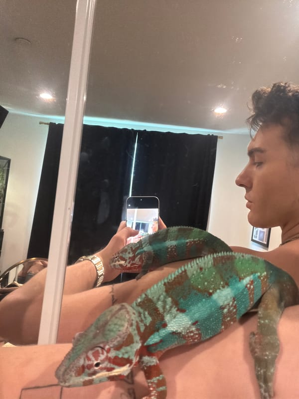 Person poses with chameleon in Los Angeles mirror selfie