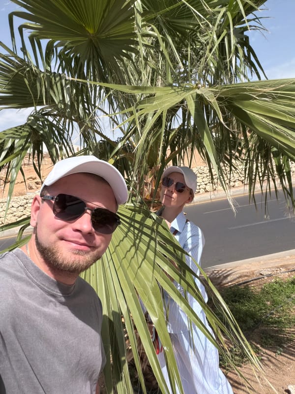 Tourists pose for selfies among palm trees in Sharm El Sheikh