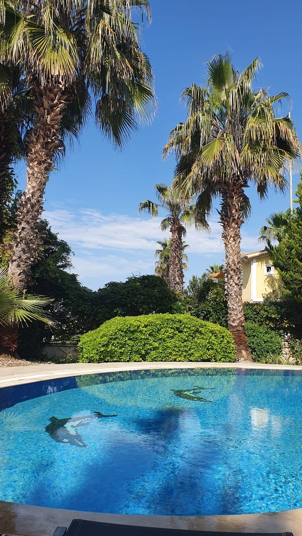 Swimming pool with marine mosaics spotted in Serik, Turkey