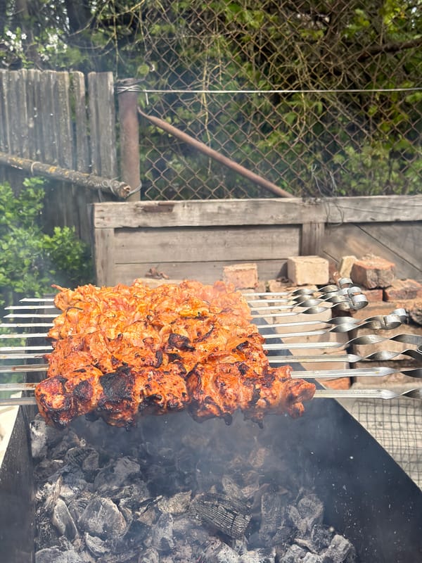 Spring day domestic life documented in Бронница, Russia