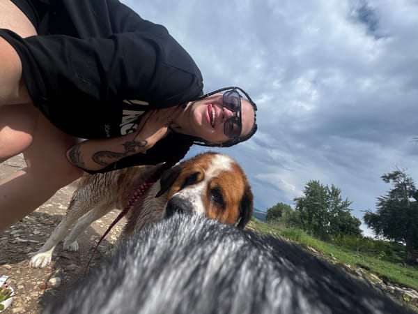 Woman documents lakeside outing with Saint Bernard and Husky dogs