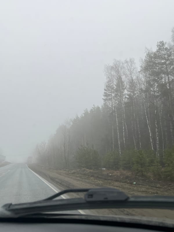 Dense fog reduces visibility on Russian road