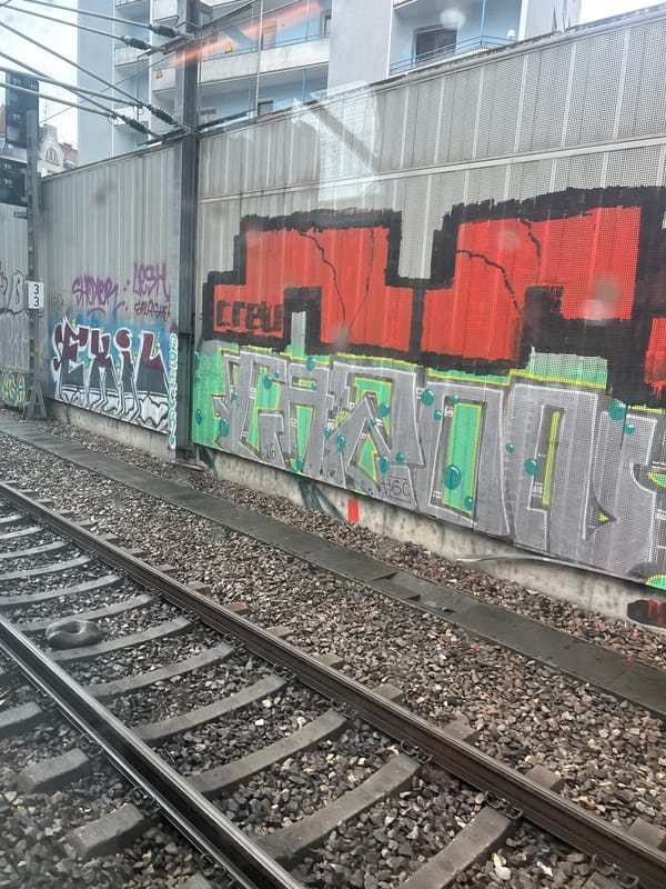 Train passenger captures graffiti art along Vienna railway tracks
