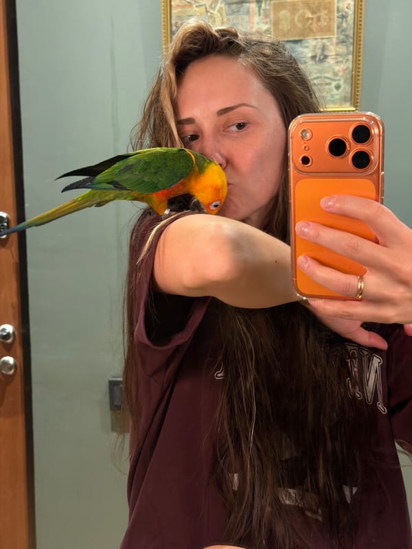 Person photographs and handles colorful parrot in Khimki