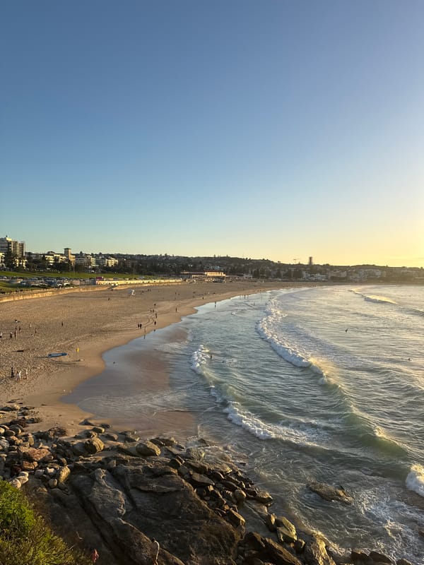 Golden hour scenes captured at busy Bondi Beach
