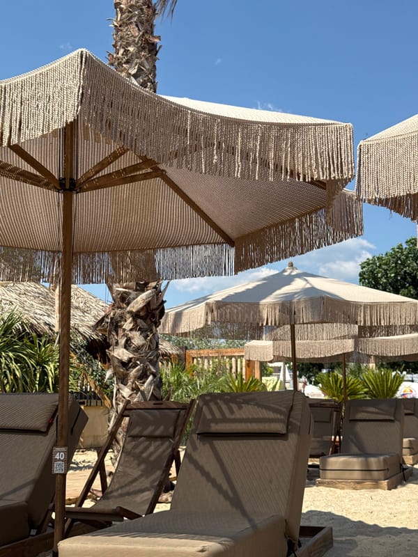 Midday at a tropical beach club, palms and lounge chairs