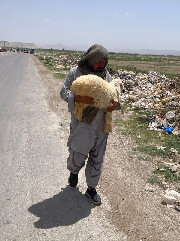 Morning life documented in Loralai: vendors, livestock, vehicle repair