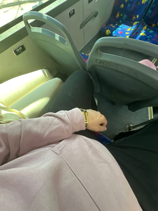 Bus passenger in lavender top observed in Sofia