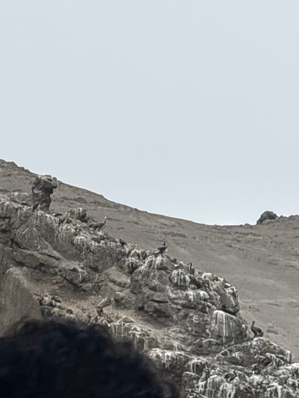 Boat tour observed near bird-populated cliffs in Ancón, Peru