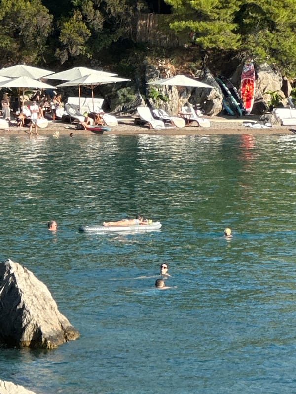 Boats, paddleboards, and sea life off the Budva coast