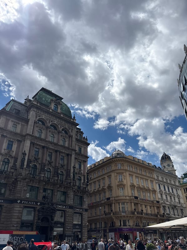 Vienna city center tour featuring St. Stephen's Cathedral