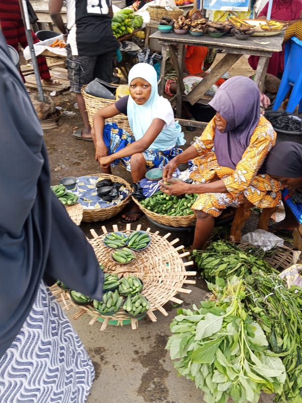 Daily market life documented in Zango-ndaji Nigeria