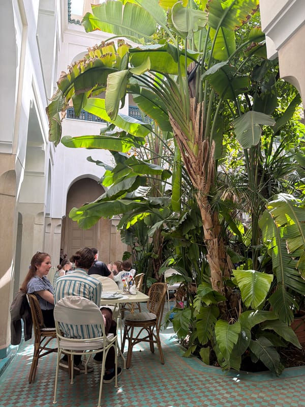 Flower-filled marble basin spotted in Marrakesh courtyard