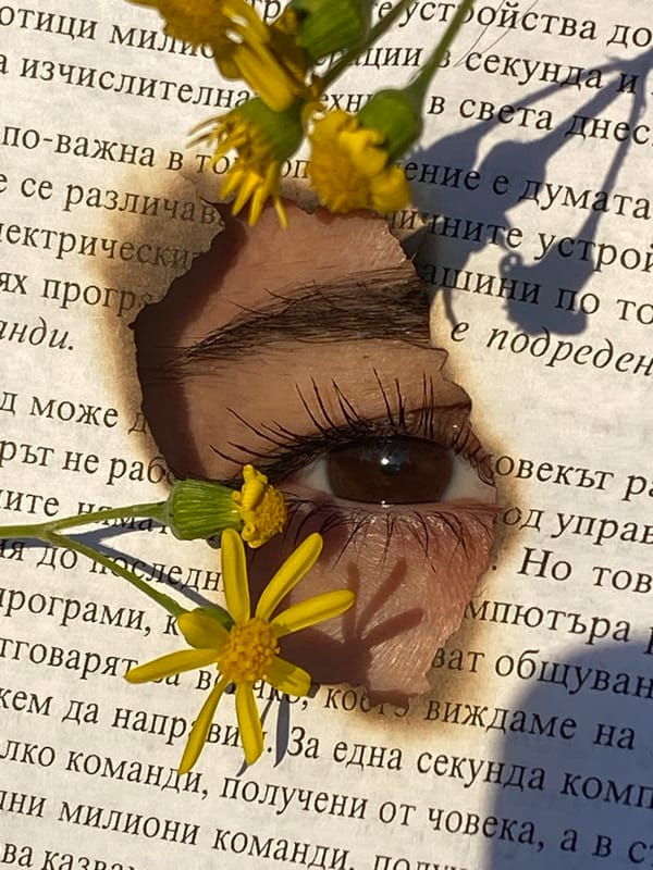 Paper eye cutout art photographed in Pleven, Bulgaria